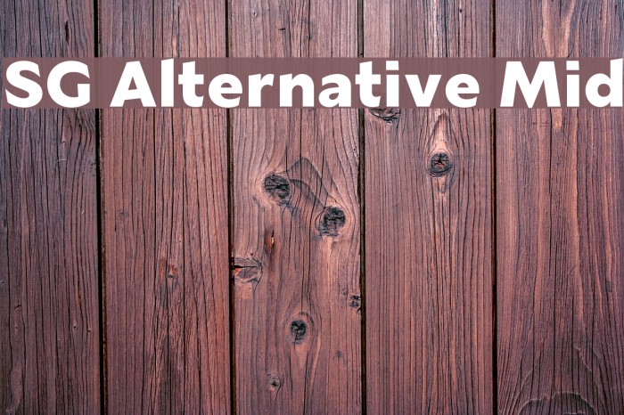 SG Alternative Mid Font examples