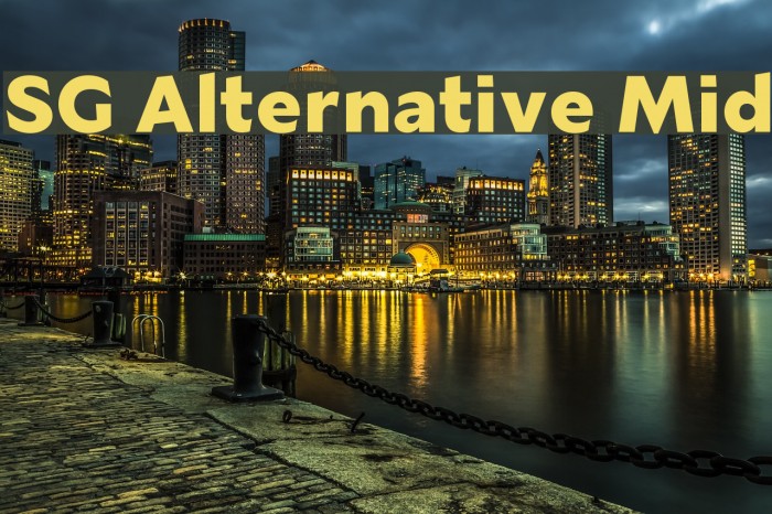 SG Alternative Mid Font examples