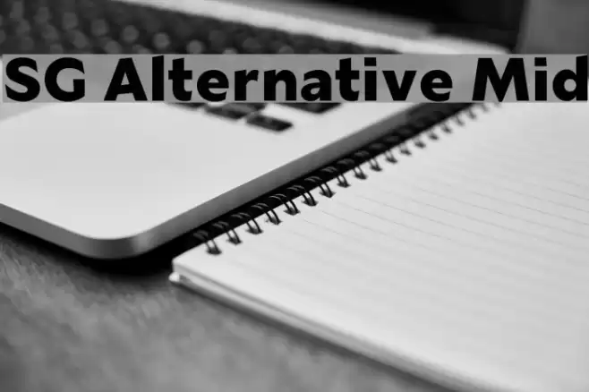 SG Alternative Mid Font examples