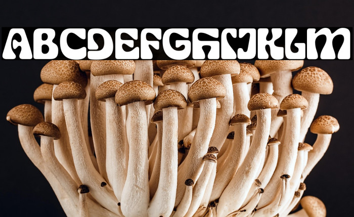 SG Display Regular DEMO Example 3