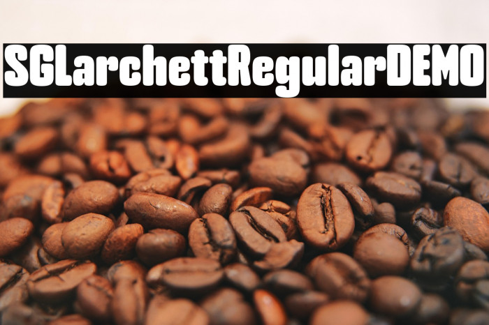 SG Larchett Regular DEMO Example 1