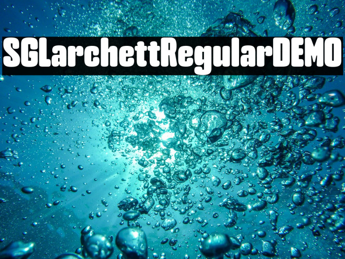 SG Larchett Regular DEMO Example 2