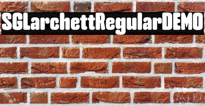 SG Larchett Regular DEMO Example 3