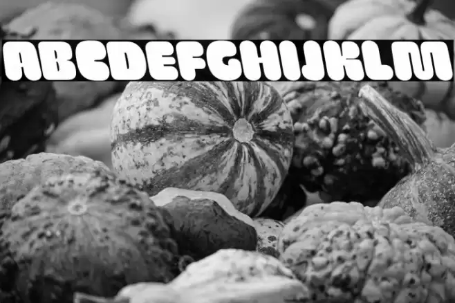 SG Wristan Backslant DEMO Polices examples