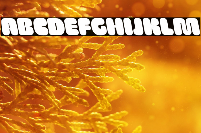 SG Wristan Backslant DEMO Example 3