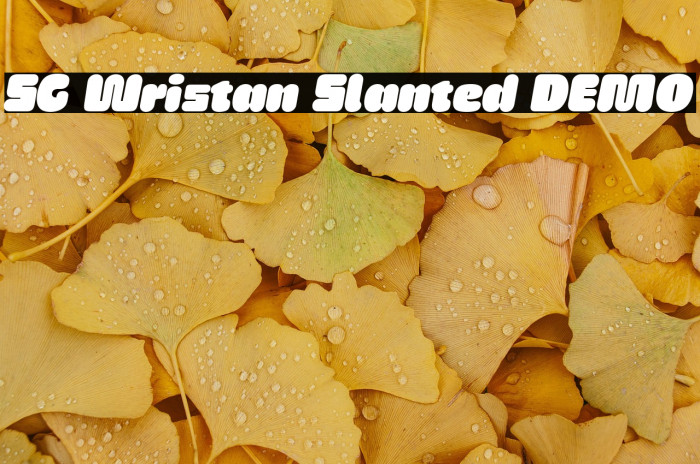 SG Wristan Slanted DEMO Example 2
