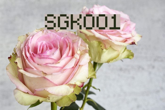 SGK001 Font examples