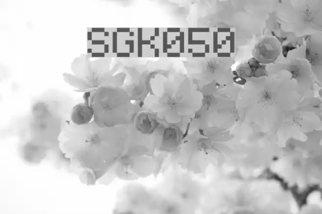 SGK050 Font examples