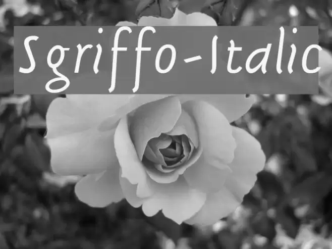 Sgriffo-Italic Font examples
