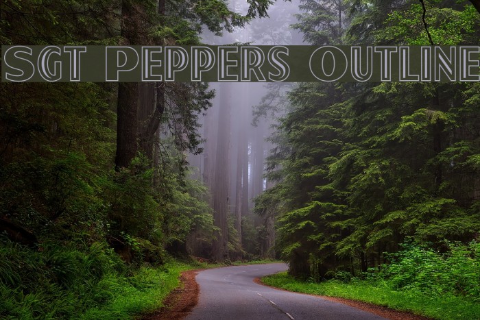 Sgt Peppers Outline Font examples