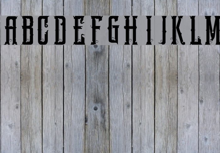 sg Font examples
