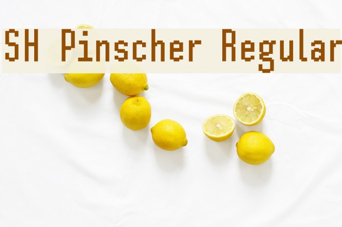 SH Pinscher Regular Font examples