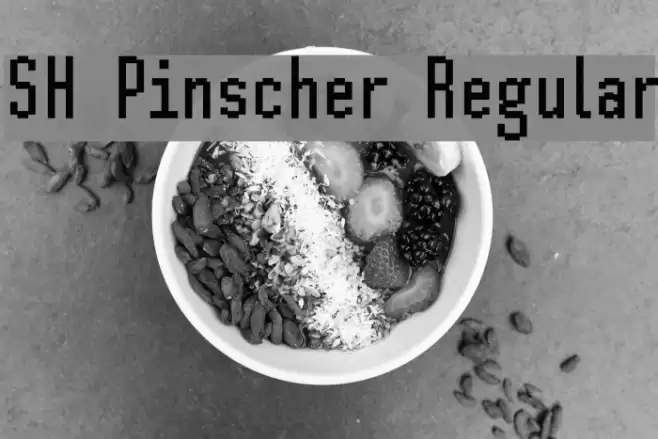 SH Pinscher Regular Font examples