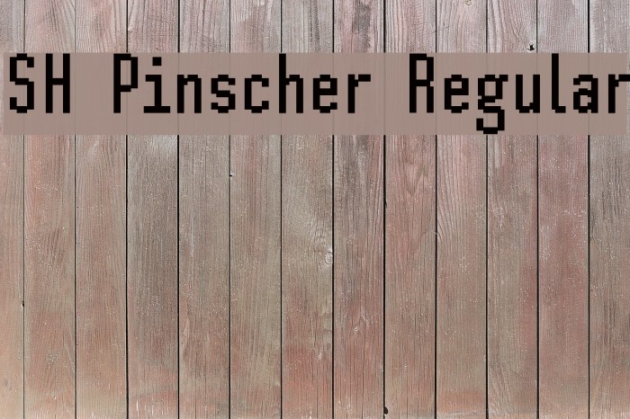 SH Pinscher Regular Font examples