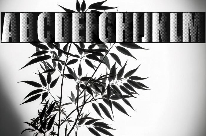 SHADOWEND PERSONAL USE Example 2