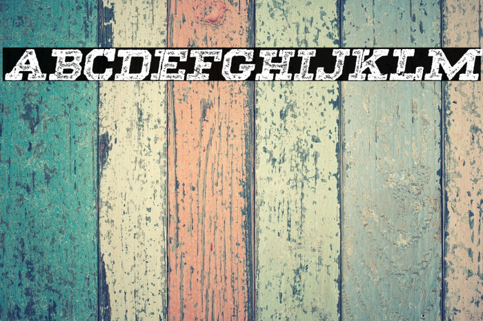 SHADOWS ITALIC PERSONAL USE Bold Italic Example 2