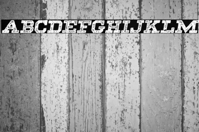 SHADOWS ITALIC PERSONAL USE Bold Italic Font examples