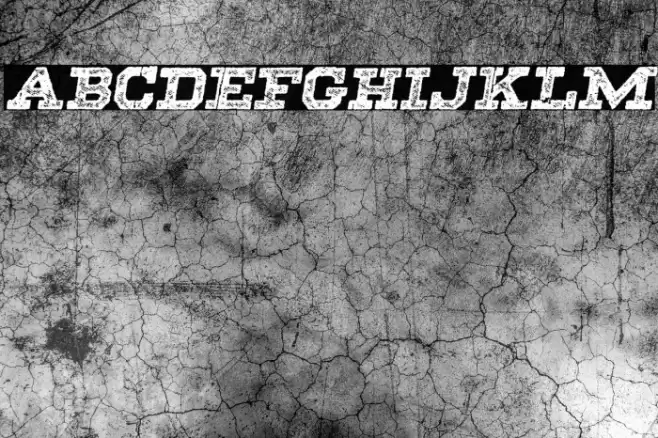 SHADOWS ITALIC PERSONAL USE Bold Italic Font examples