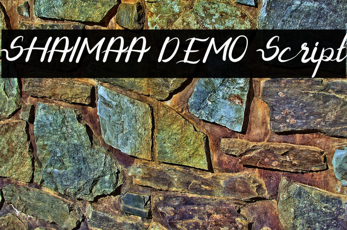 SHAIMAA DEMO Script Example 1