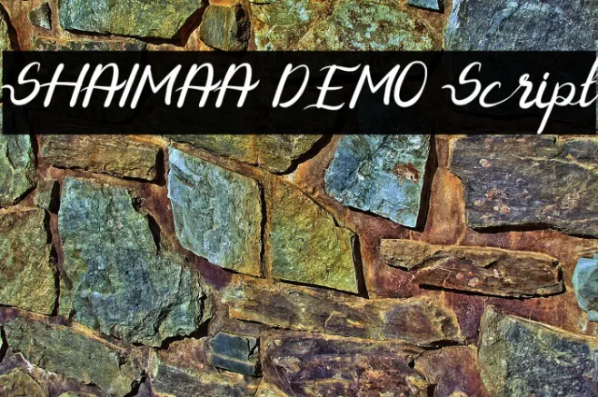 SHAIMAA DEMO Script Example 1