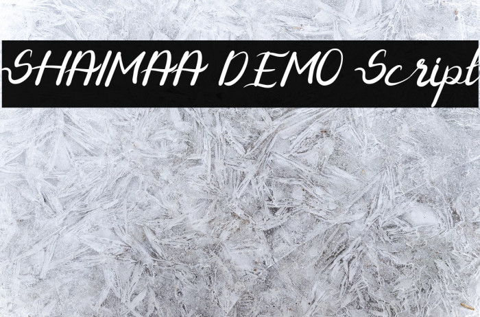 SHAIMAA DEMO Script Example 3