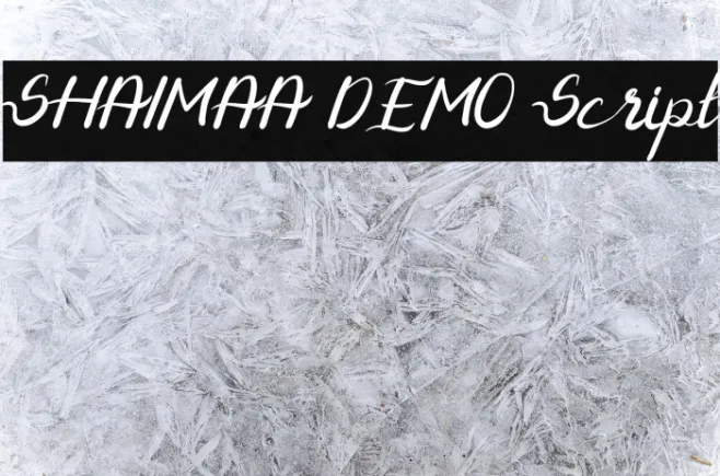 SHAIMAA DEMO Script Example 3