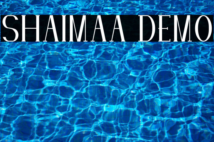 SHAIMAA DEMO Example 1