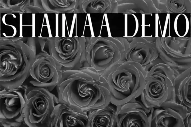 SHAIMAA DEMO Font examples