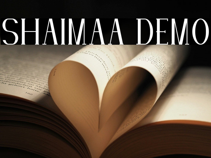 SHAIMAA DEMO Example 3