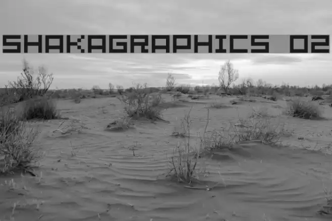 SHAKAGRAPHICS 02 Font examples