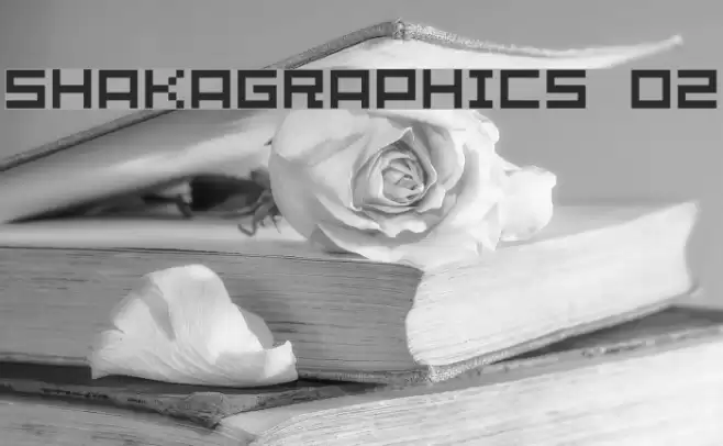 SHAKAGRAPHICS 02 Font examples