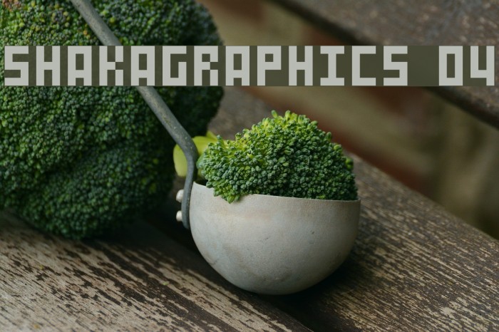 SHAKAGRAPHICS 04 Font examples