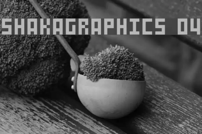 SHAKAGRAPHICS 04 Шрифта examples