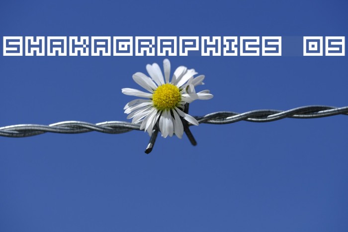 SHAKAGRAPHICS 05 Font examples