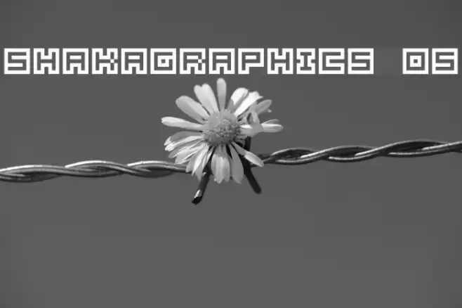 SHAKAGRAPHICS 05 Caratteri examples