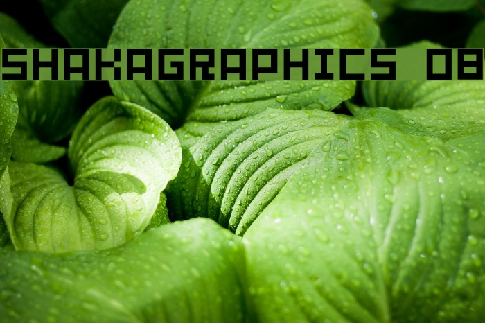 SHAKAGRAPHICS 08 Font examples