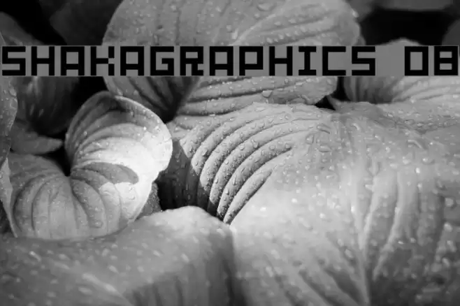 SHAKAGRAPHICS 08 フォント examples