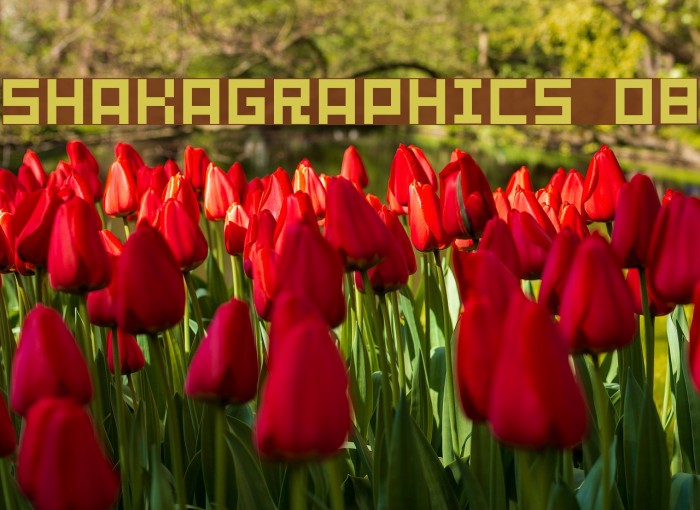 SHAKAGRAPHICS 08 Font examples