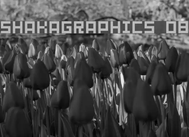 SHAKAGRAPHICS 08 フォント examples