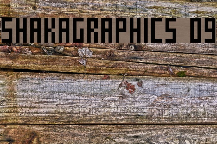 SHAKAGRAPHICS 09 Fonte examples