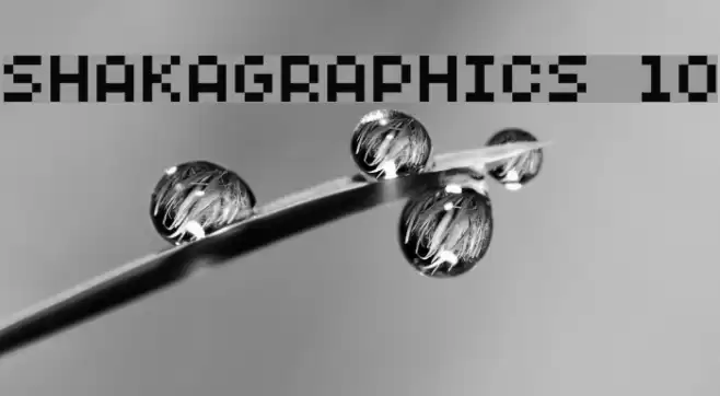 SHAKAGRAPHICS 10 フォント examples