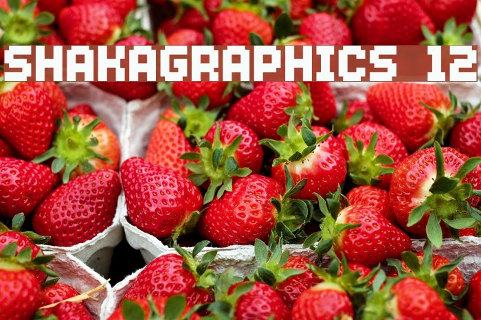 SHAKAGRAPHICS 12 Font examples