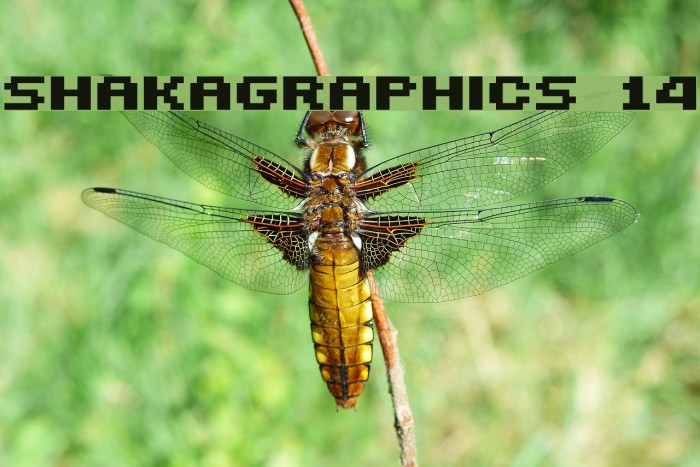 SHAKAGRAPHICS 14 Font examples