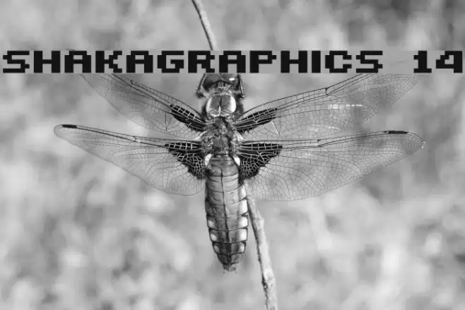 SHAKAGRAPHICS 14 Fonte examples