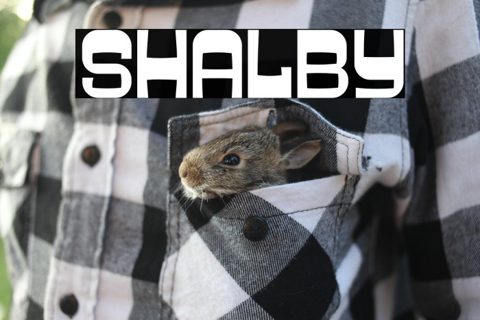 SHALBY Example 1