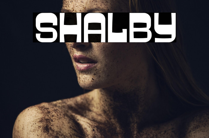 SHALBY Example 2