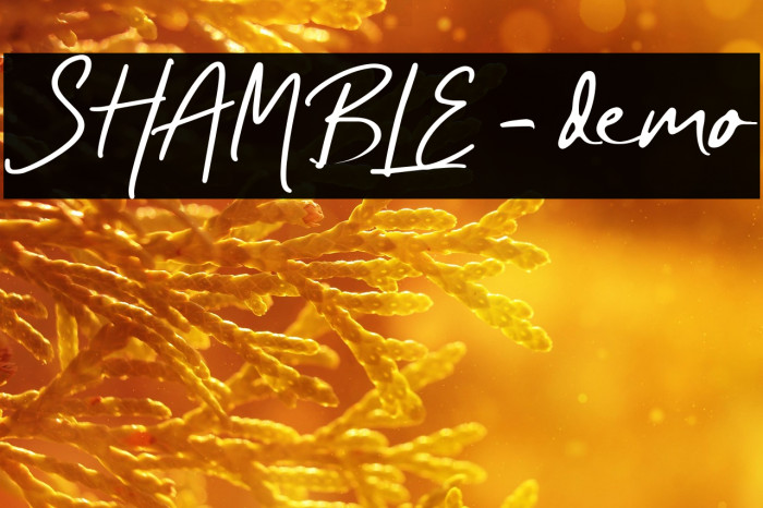 SHAMBLE - demo Example 1