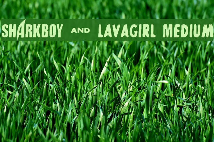SHARKBOY & lavagirl Medium Font examples