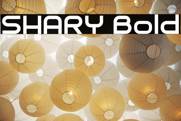 SHARY Bold Example 2