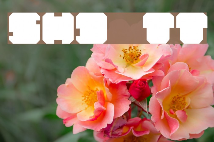 SHD TechnoType Font examples